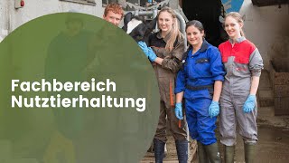 Fachrichtung Nutztierhaltung [upl. by Aihsemak]