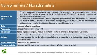 NORADRENALINA [upl. by Edithe193]