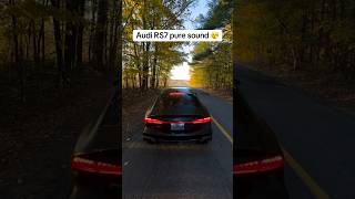 Audi RS7 Brutal Sound Exhaust ⚡️⚡️ audipower audi exhaustsound acceleration shorts foryou [upl. by Ailahs145]