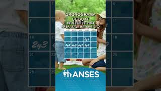 Cronograma de Anses con fechas de pago de asignaciones familiares del SUAF en octubre anses [upl. by Anitac]