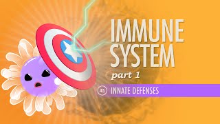 Immune System Part 1 Crash Course Anatomy amp Physiology 45 [upl. by Weatherby]