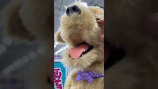 FurReal Biscuit My Lovin’ Pup at Costco [upl. by Enovad]