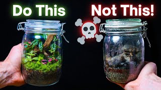 10 ESSENTIAL Terrarium Tips For Beginners [upl. by Akinwahs]