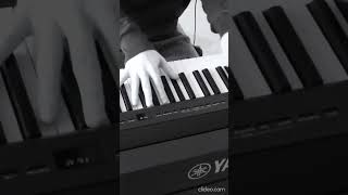 Adele Hello  piano cover shorts [upl. by Ellevel]