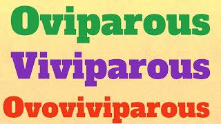 OviparousViviparousOvoviviparousBiology [upl. by Hceicjow]