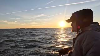 Chesapeake Bay Fall24 Fishing [upl. by Skill]