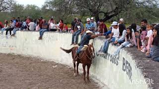 jaripeo rancho la virgen Rioverde slp parte 8 3 [upl. by Adamec177]