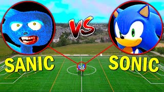 Drone Catches SANIC vs SONIC From SONIC THE HEDGEHOG 2 SONIC IN REAL LIFE [upl. by Suolhcin807]