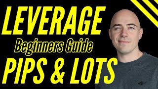 Forex Leverage for Beginners Explained lot sizes and pips [upl. by Ziana]