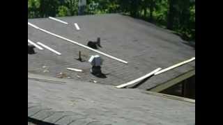 Metal roofing over shingles  601 750 2274  Metal roofing Birmingham Alabama [upl. by Eylhsa]