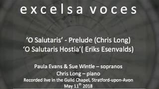 O Salutaris Hostia  Excelsa Voces [upl. by Lilybelle]