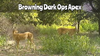 Browning Dark Ops Apex Trail Camera Aug 818 2024 [upl. by Onibla]