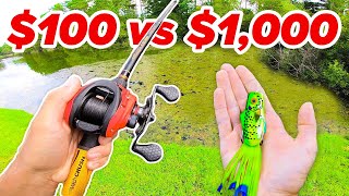 100 vs 1000 Budget Fishing Challenge Rod Reel Lures [upl. by Ellekcim]