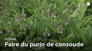 Faire du purin de consoude [upl. by Buller]