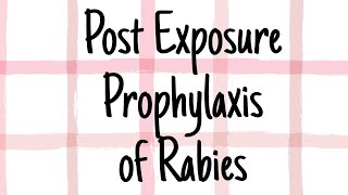 Post exposure prophylaxis for Rabies  CNS  Microbiology [upl. by Havard]