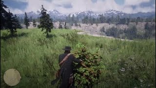 Herborista 2  Frutas Silvestres  Red Dead Redemption 2 [upl. by Demetra307]