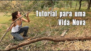 TUTORIAL PARA UMA VIDA NOVA  NA 66 [upl. by Herr]