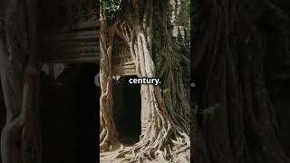 The Abandoned City of Angkor Wat A Mystery  abondoned city mystery ancient foryou viralshort [upl. by Lubeck]