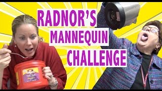 Radnor High Schools Mannequin Challenge [upl. by Rao781]