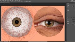 CrazyTalk 8 Tutorial  Enhancing Photo Fitting Eyes [upl. by Pamelina]