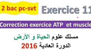 2 bac svt pc CORRECTION exercice 11 svt  ATP et muscle normale PC 2022 [upl. by Yldarb]