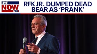 RFK Jr admits to dumping dead bear cub in New York  LiveNOW from FOX [upl. by Nonnahsed]