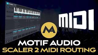 Scaler 2 amp Ableton Live Midi Routing I fck3d the last video upsorry [upl. by Gorlin]