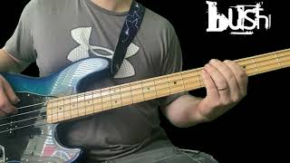 Swallowed Bush Bass Cover [upl. by Domenech955]