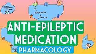 Epilepsy pharmacology  Soton Brain Hub [upl. by Annawoj]