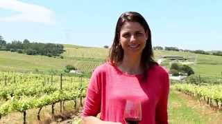 Sandra Tavares da Silva  Uniqueness of Portuguese Wines  The Best Portugal [upl. by Amil347]