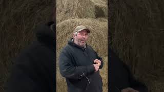 Rebaling Round Hay Bales Into Square Bales Keeps Hay Fresh hay rebaling roundbales [upl. by Lindgren]