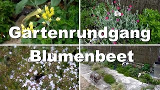 Rundgang durch den Garten Blumenbeet  Kräuterbeet [upl. by Kassi]