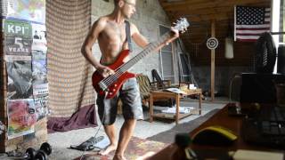 AMATORY  Осколки bassguitar fan playing [upl. by Brita714]