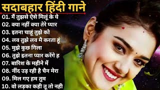 Sadabhar songs ❤️ Hindi Songs 💕 udit narayan songs  90s Music Diaries  90sMusicDiaries [upl. by Anavlys939]