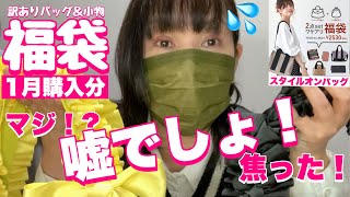 【福袋】1月購入分スタイルオンバッグ（マジで焦った勘違い）楽天市場訳ありバッグ＆小物福袋 [upl. by Cynthea113]