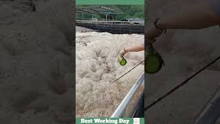 Best working day 1699 Wastewater treatment process with defoamer [upl. by Sena244]