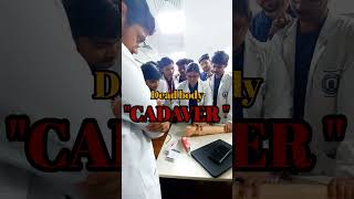 The value of dead bodies in medical Education aiimsdeoghar anatomy shorts dh neet [upl. by Ellivnarg]