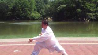 Chen Style Tai Chi New First Form｜陈氏太极新架一路 [upl. by Ynnod]