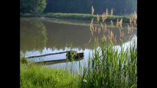 Naturgeräusche am Waldweiher [upl. by Atsira]