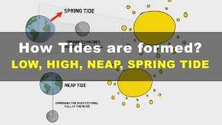 How Tides are Formed  Low High Neap Spring Tide  Geography UPSC IAS [upl. by Michelsen523]