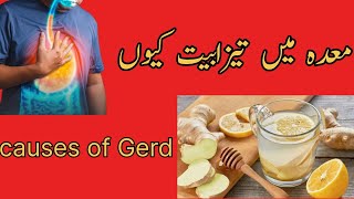 What Causes GERD acidity causes Healthology by dr junaid [upl. by Ahgem]