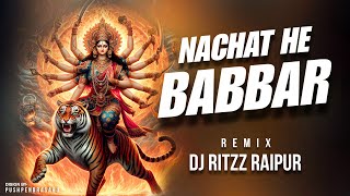 Nachat He Babbar Sher Re Remix  DJ RITZZ RAIPUR [upl. by Vezza]