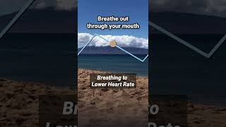 Breathing to Lower Heart Rate 48 relaxing breathingexercise heartrate [upl. by Itirp252]