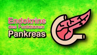 Endokrine Funktionen des Pankreas [upl. by Annatsirhc]