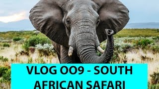 VLOG 009  AFRICAN SAFARI [upl. by Sirret]