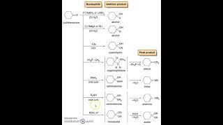 Reactions of Cyclohexanone [upl. by Goldfarb]