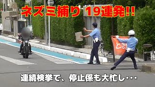 次から次へと違反車が 19台の大量検挙！レーダー式ネズミ捕り取締りThis is speed enforcement on roads with a 30km speed limit [upl. by Llimaj]