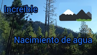 Cómo nace el agua Nacimiento de agua en la montaña [upl. by Ateval]