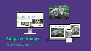 Adaptive Images for Optimizely CMS 12 [upl. by Loughlin]