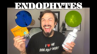 Endophytes  the Real Story with Matt Powers [upl. by Voorhis125]